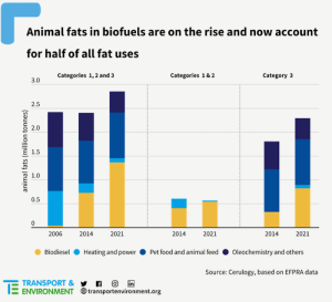 Growing use of animal fats as green jet fuel will hurt planet, new ...