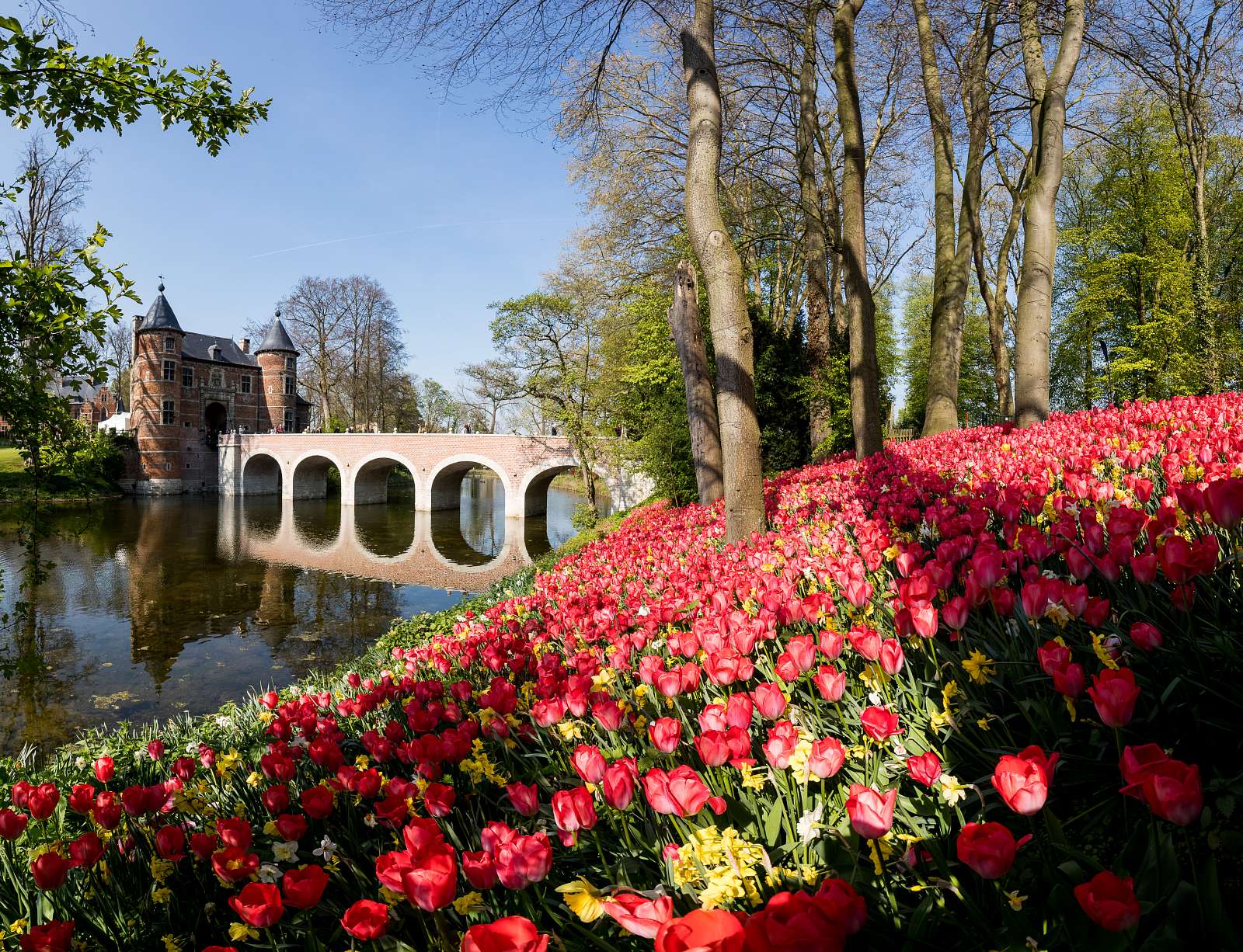 Floralia Brussels returns to Castle of Groot-Bijgaarden for 22nd edition