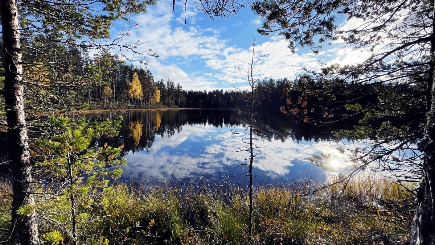 Visit Finland Offers Free Nature Retreats for Travelers to Explore Lakeland in 2026