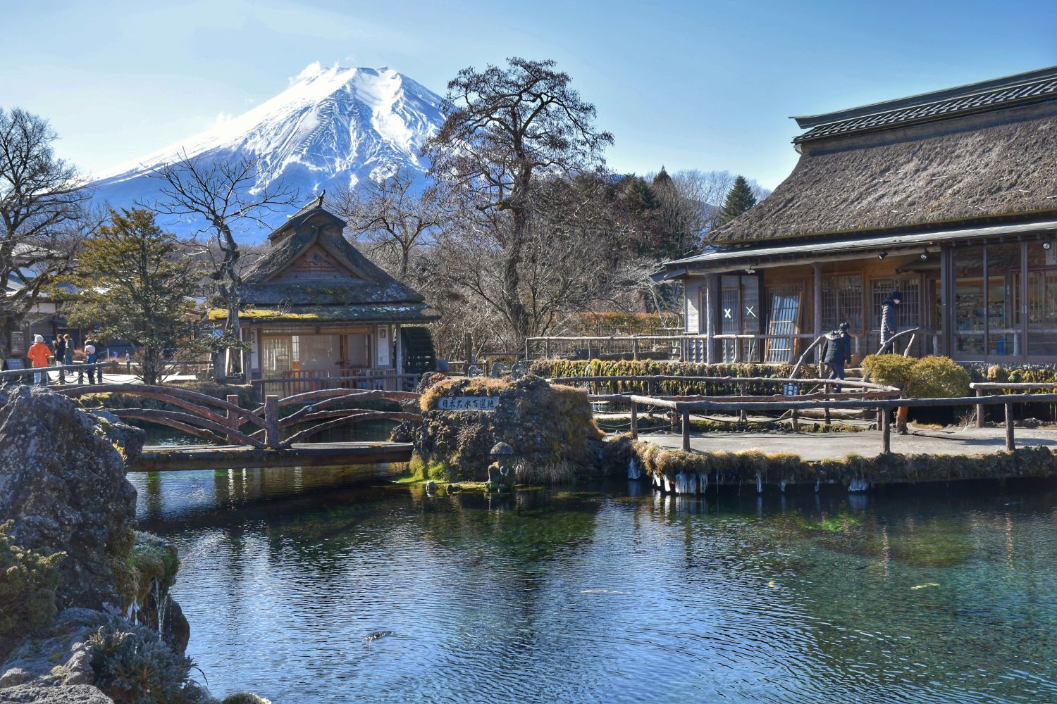 Tourists asked to stop throwing coins into iconic Japanese ponds