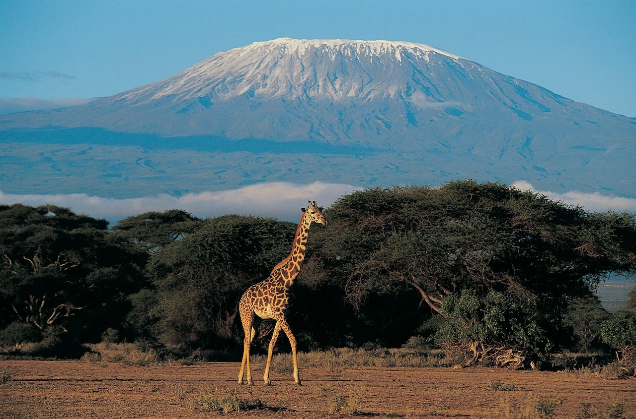 Kilimanjaro gets more direct flights from Europe as airlines expand Tanzania routes