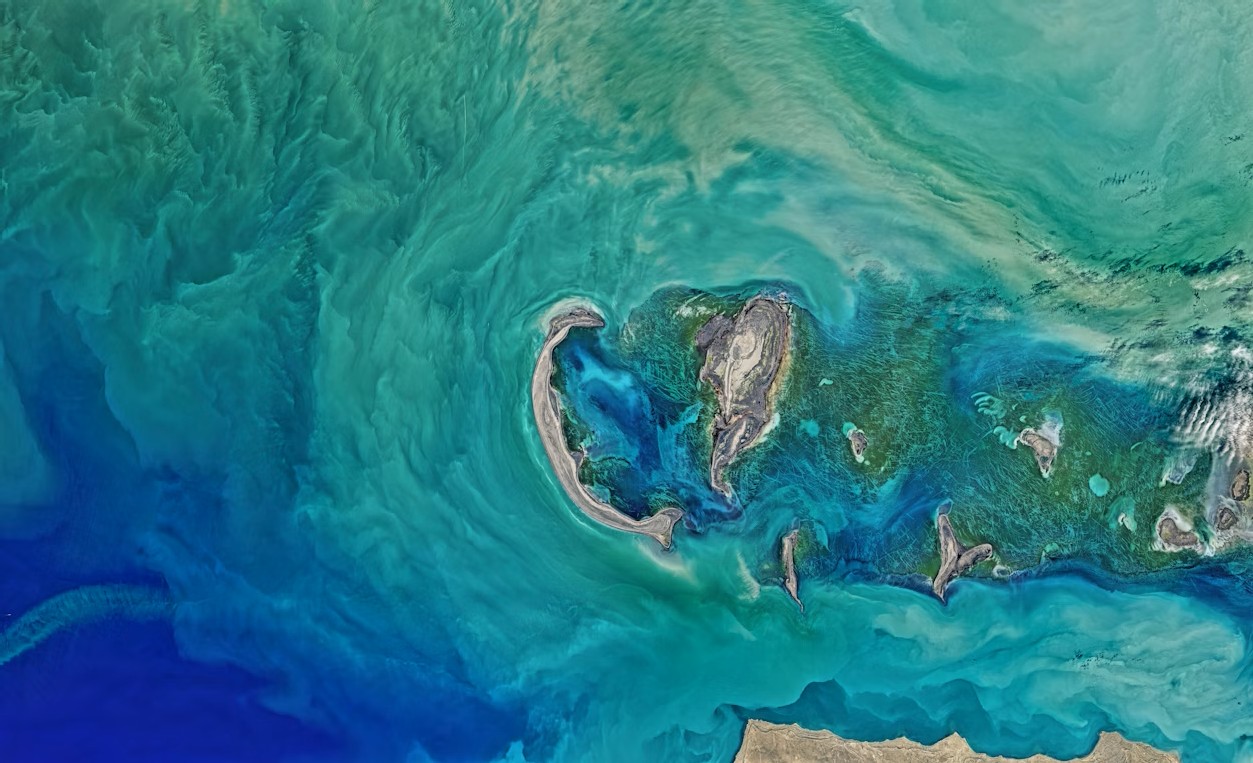 Caspian Sea shrinking threatens wildlife and habitats, experts warn