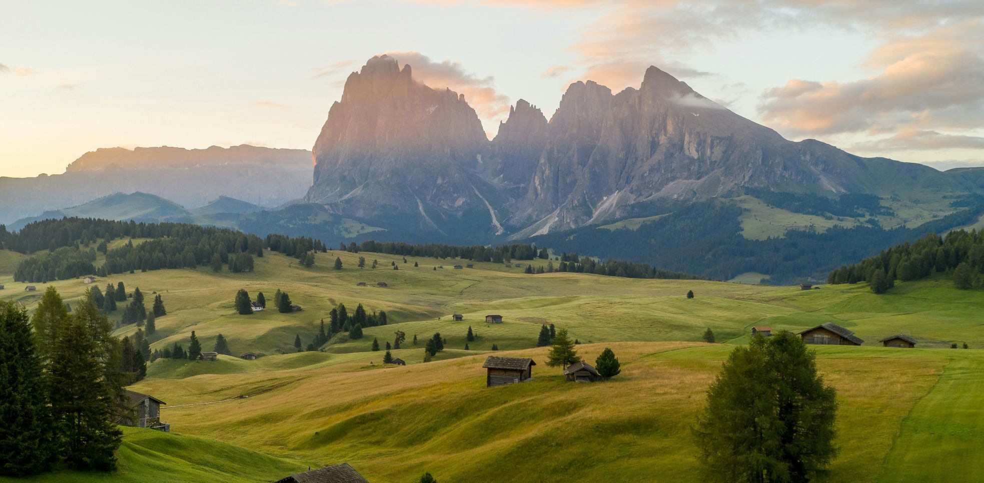 New 3,500 km Wolf Trail takes hikers across six European countries