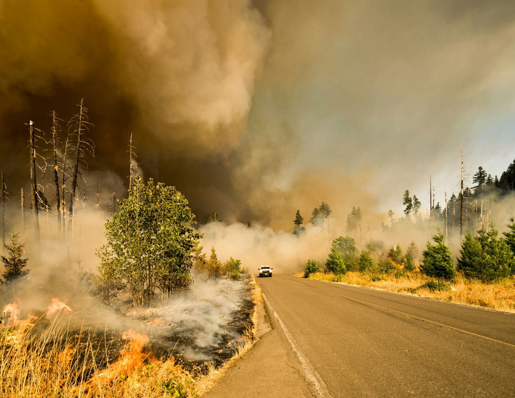 France and Spain wildfires: Which regions should tourists avoid right now?